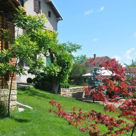 Guesthouse Djuric Negotin Exterior photo