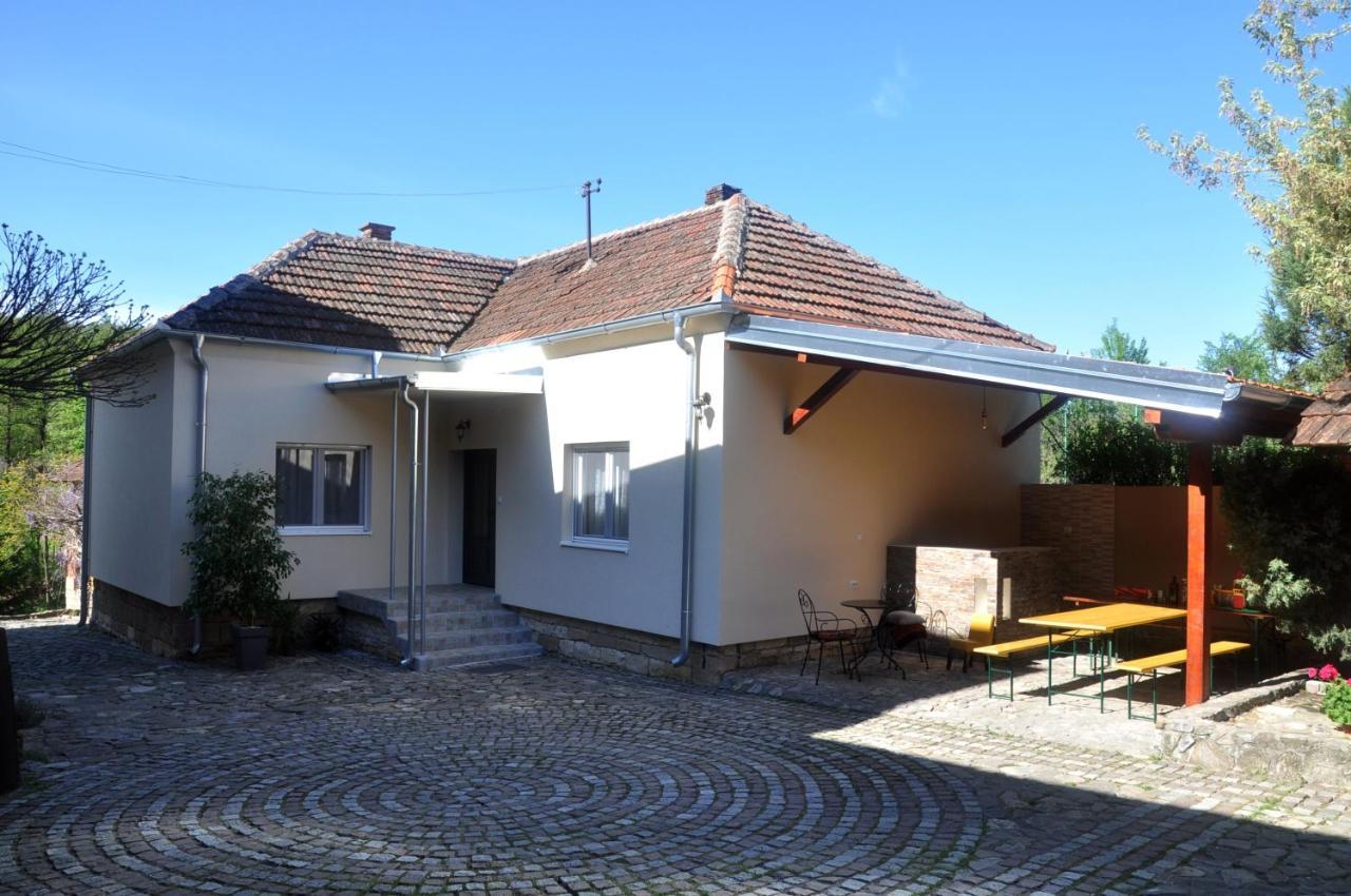 Guesthouse Djuric Negotin Exterior photo