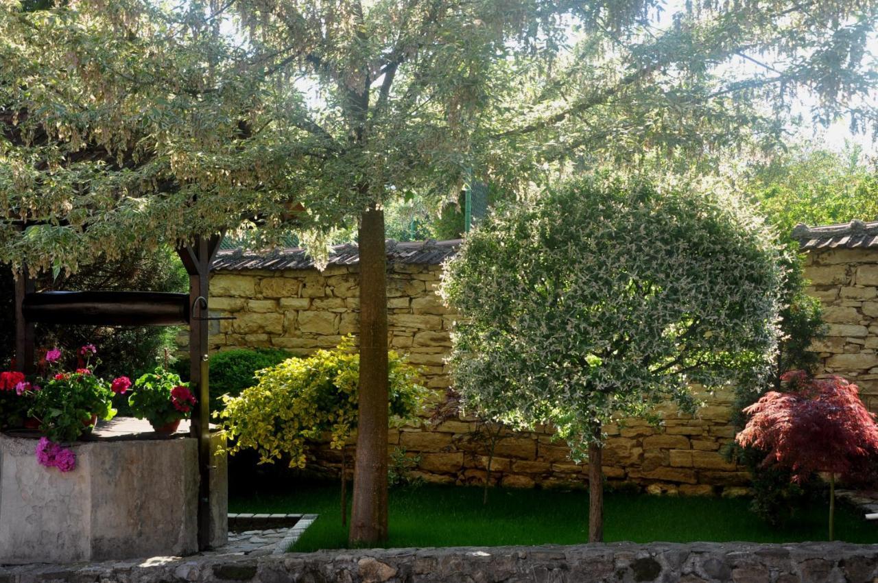 Guesthouse Djuric Negotin Exterior photo