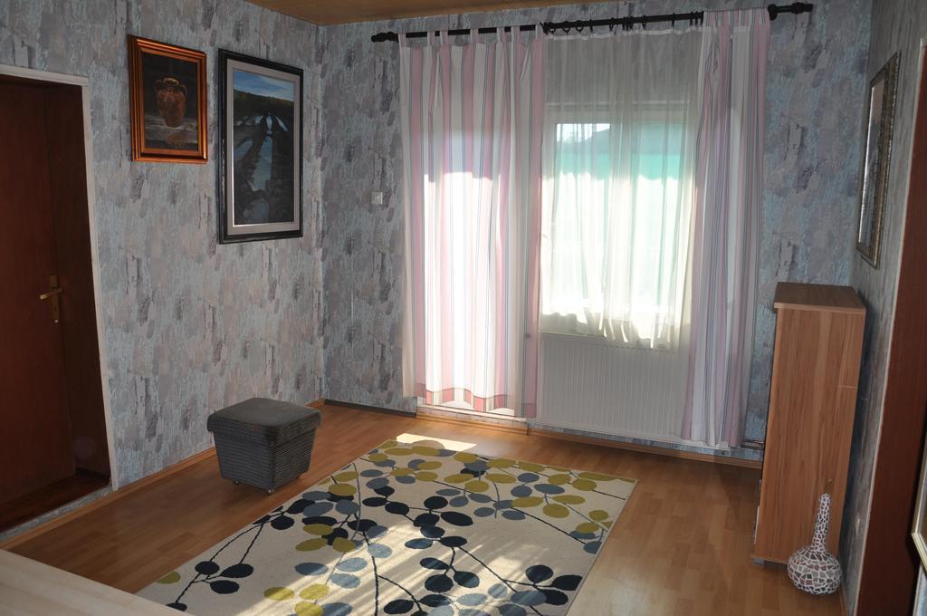 Guesthouse Djuric Negotin Exterior photo