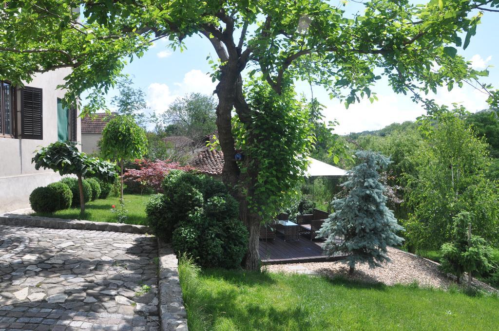 Guesthouse Djuric Negotin Exterior photo