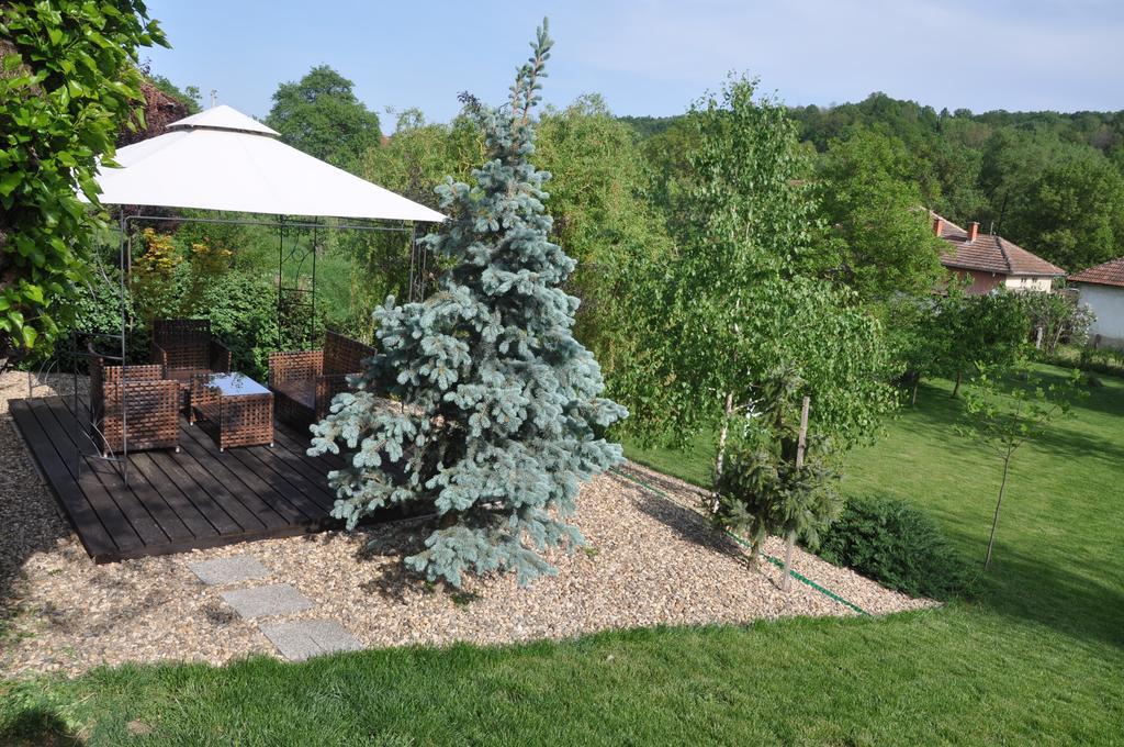 Guesthouse Djuric Negotin Exterior photo