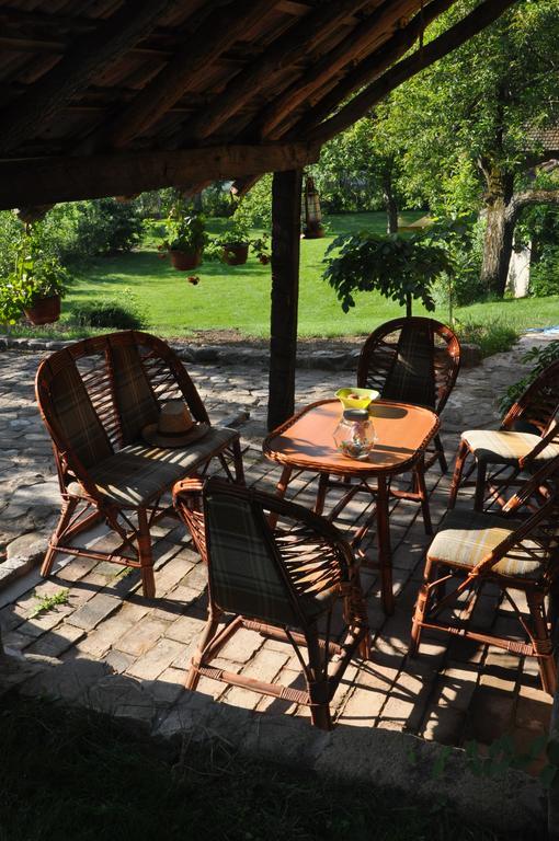 Guesthouse Djuric Negotin Exterior photo