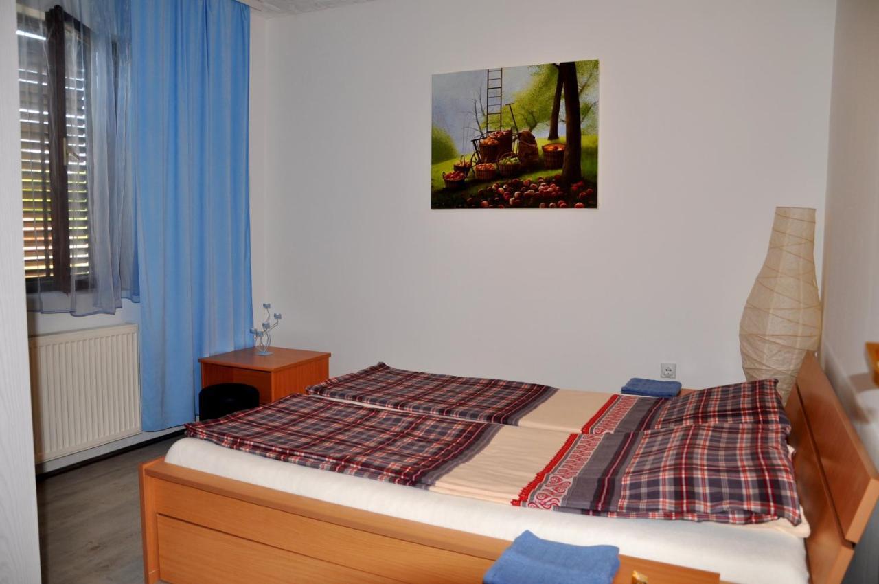Guesthouse Djuric Negotin Exterior photo